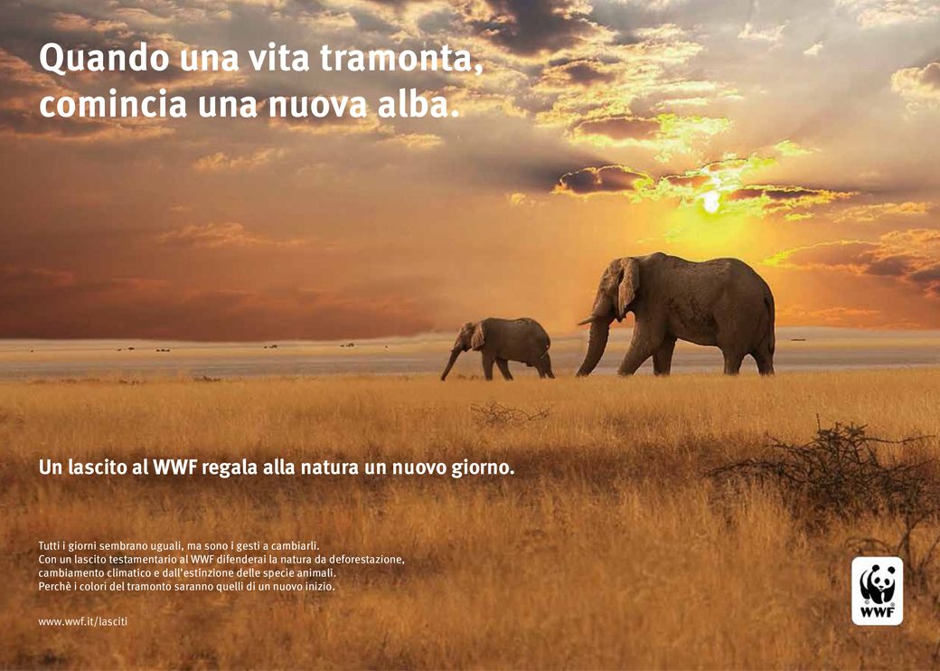 wwf_rufa_slide_01