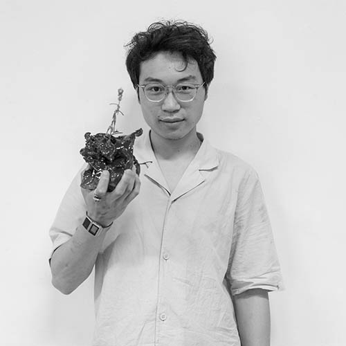 Artista - Wang Yuxiang