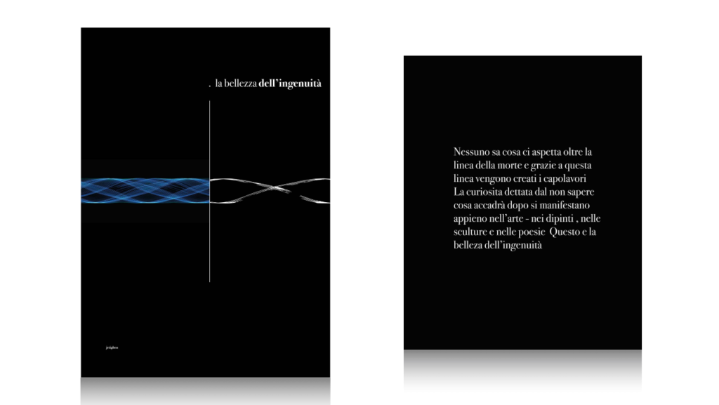 portfolio saadat 3