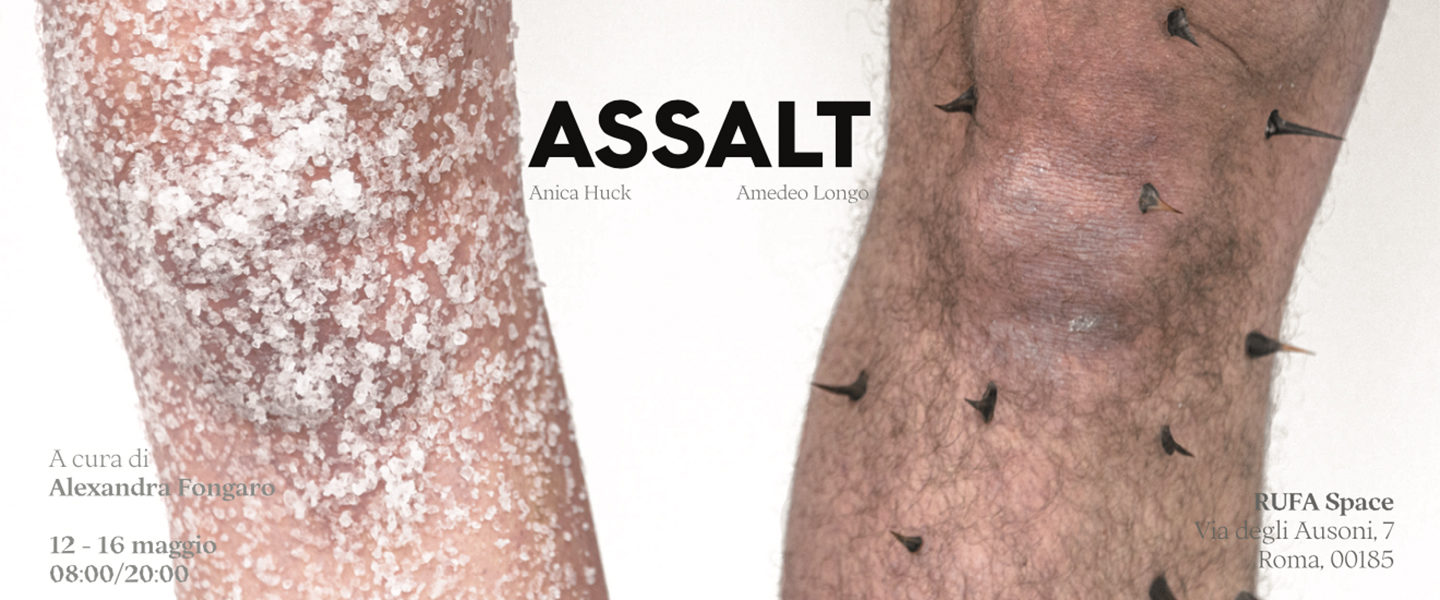 ASSALT - RUFA CULTURE - EXHIBITION DI VISUAL ARTS