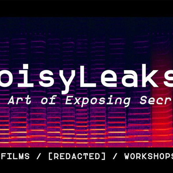 banner_NOISY LEAKS_DORMINO