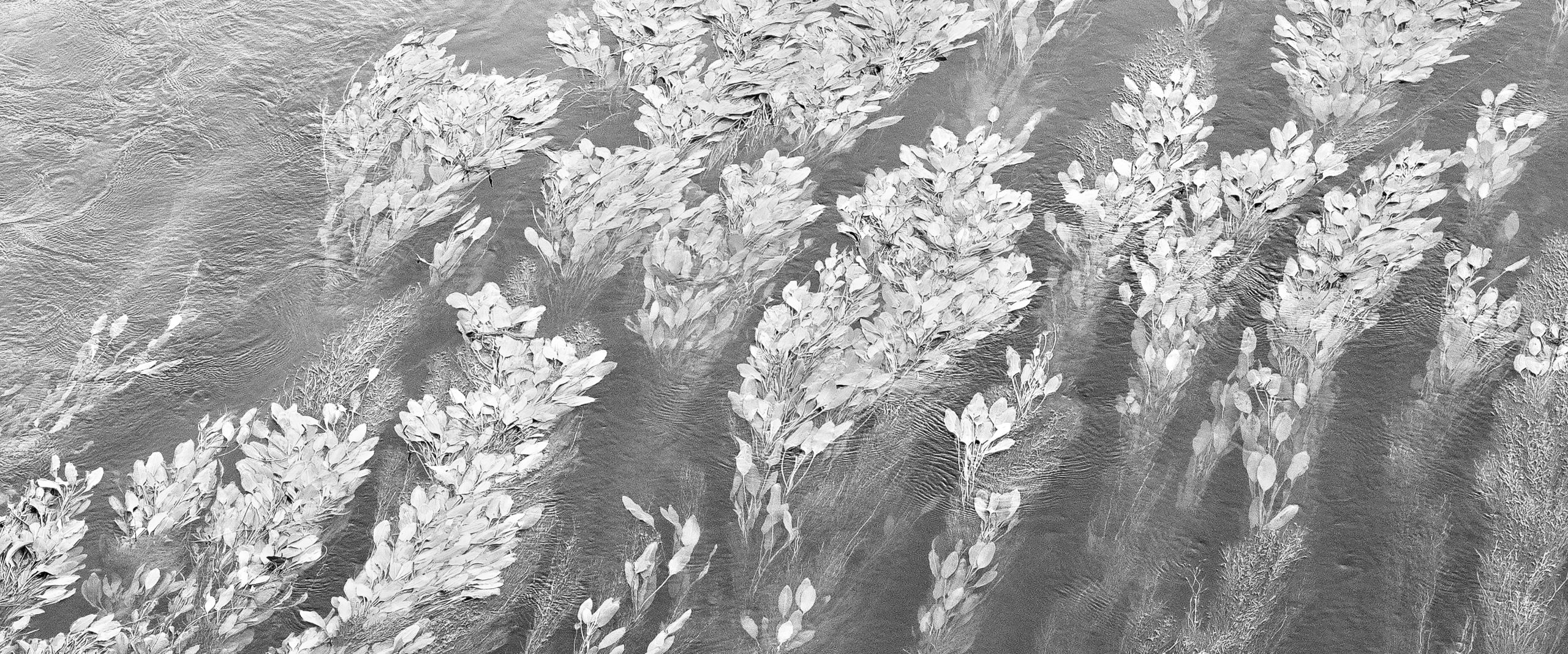 geografia-del-cambiamento-rufa-rome-university-of-fine-arts