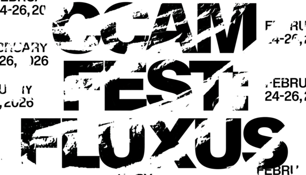 CCAM FEST FLUXUS - OPEN CALL