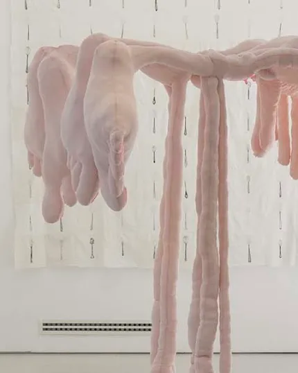 Elementi scultorei in tessuto rosa morbido appesi in verticale in una galleria d'arte moderna - Corso di Belle Arti.