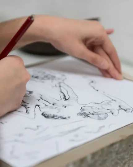 Mano che realizza un disegno anatomico a matita su un foglio bianco posizionato su un tavolo da disegno - Corso di Belle Arti.