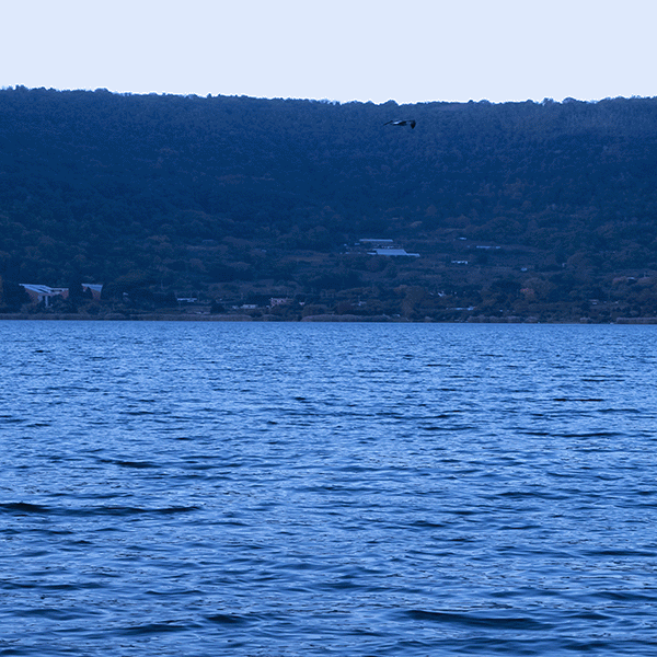 DSC4541-