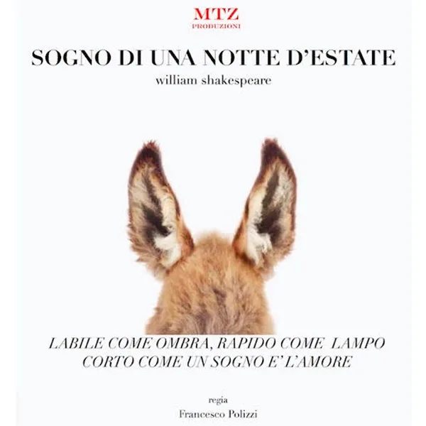 sogno_di_una_notte_destate