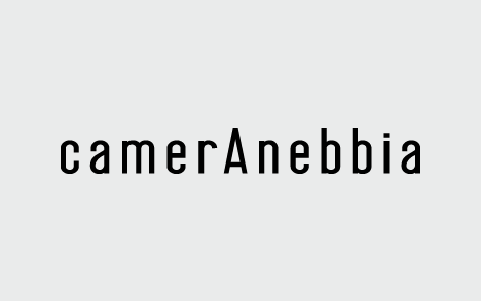 Logo CamerAnebbia.